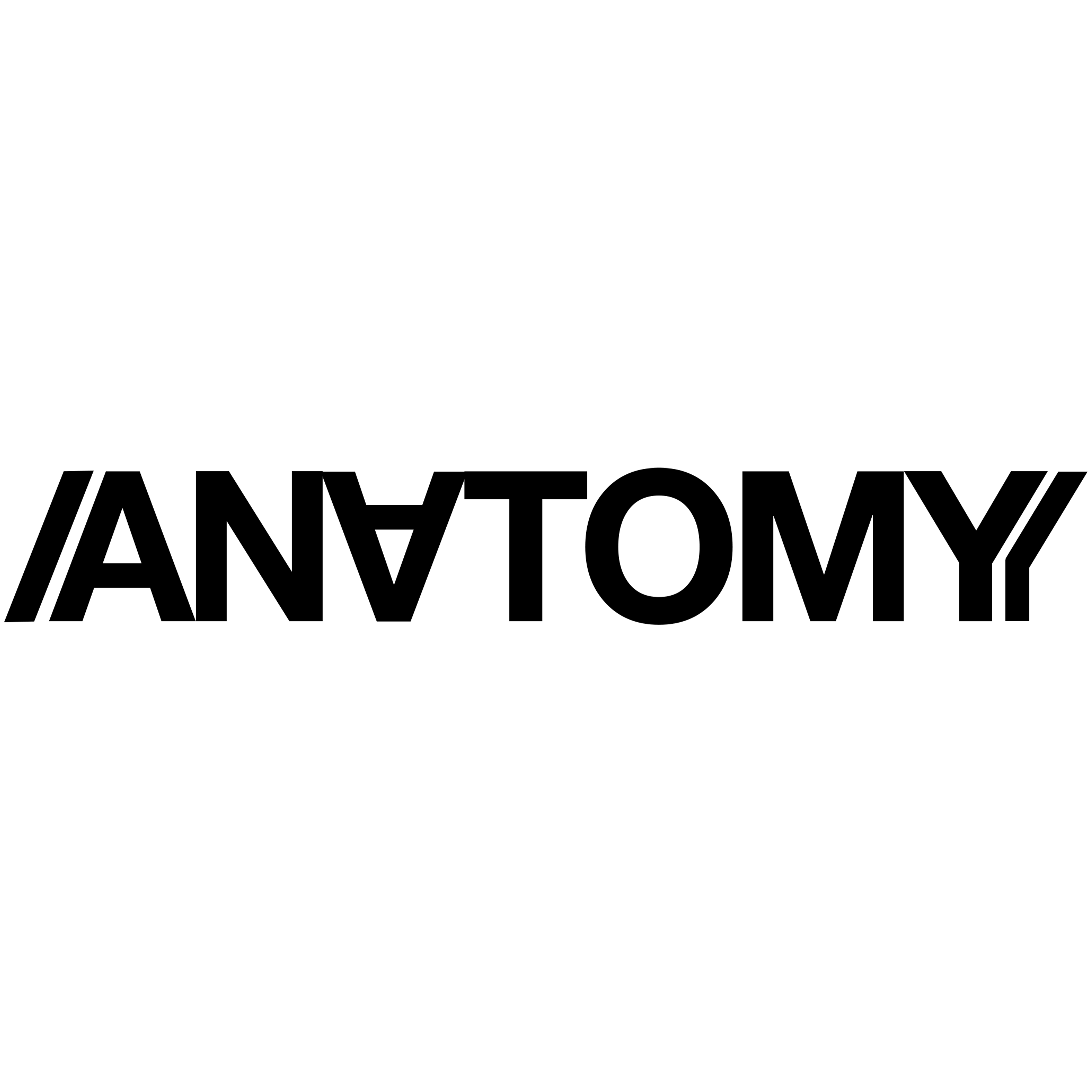 Anatomy International 